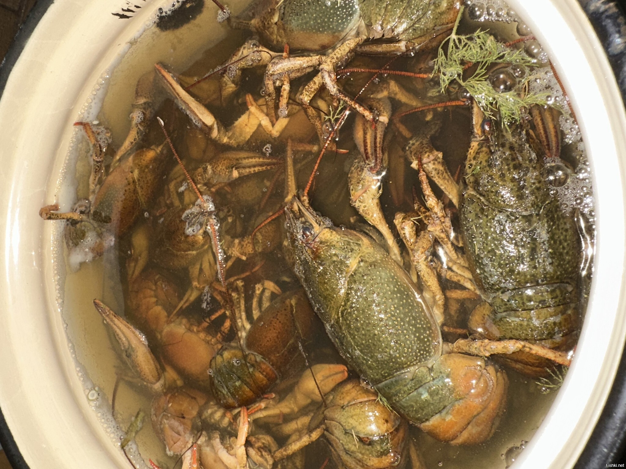 Варю завтрак