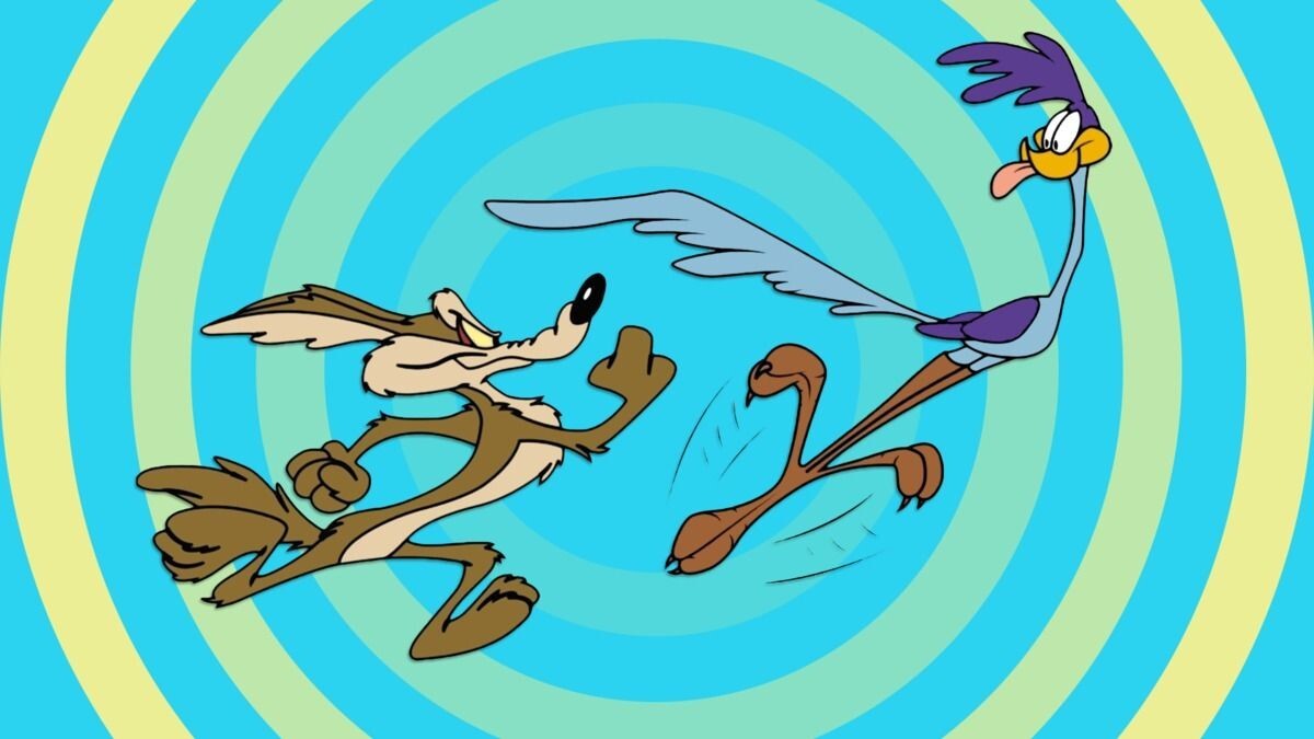 В США засняли погоню койота за дорожным бегуном