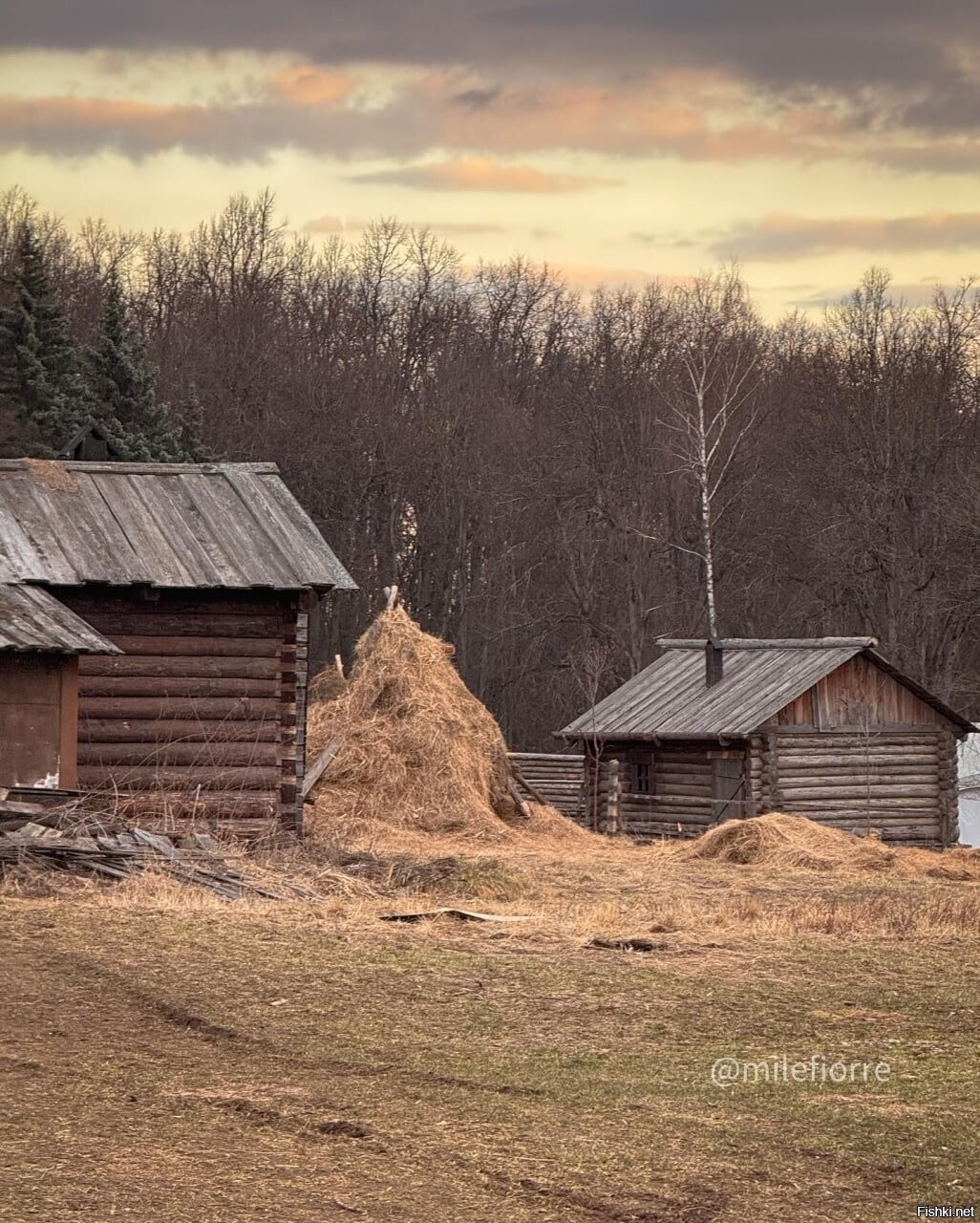 Кинодеревня, Ленинградская обл