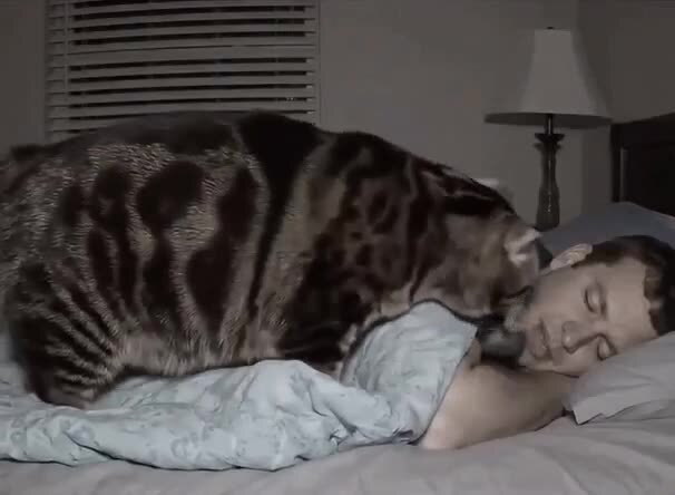 Завтрак в постель