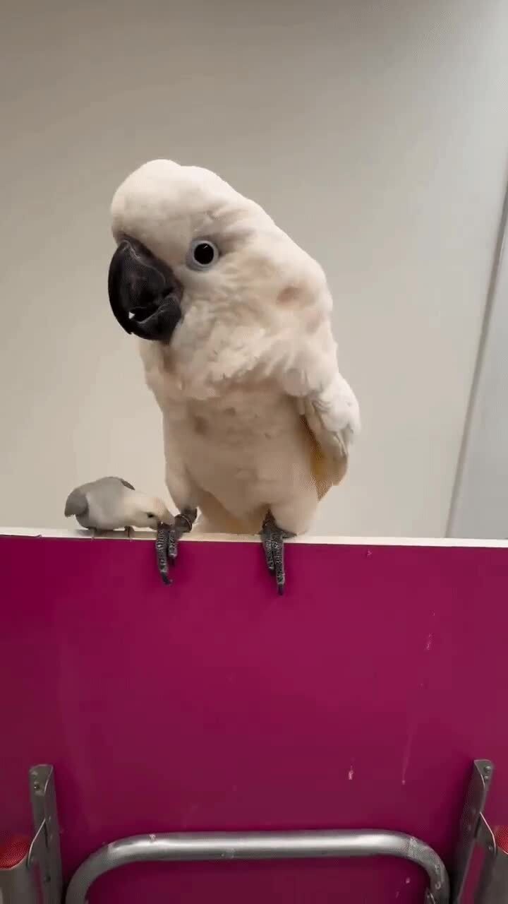 Не подходи ко мне, я обиделась