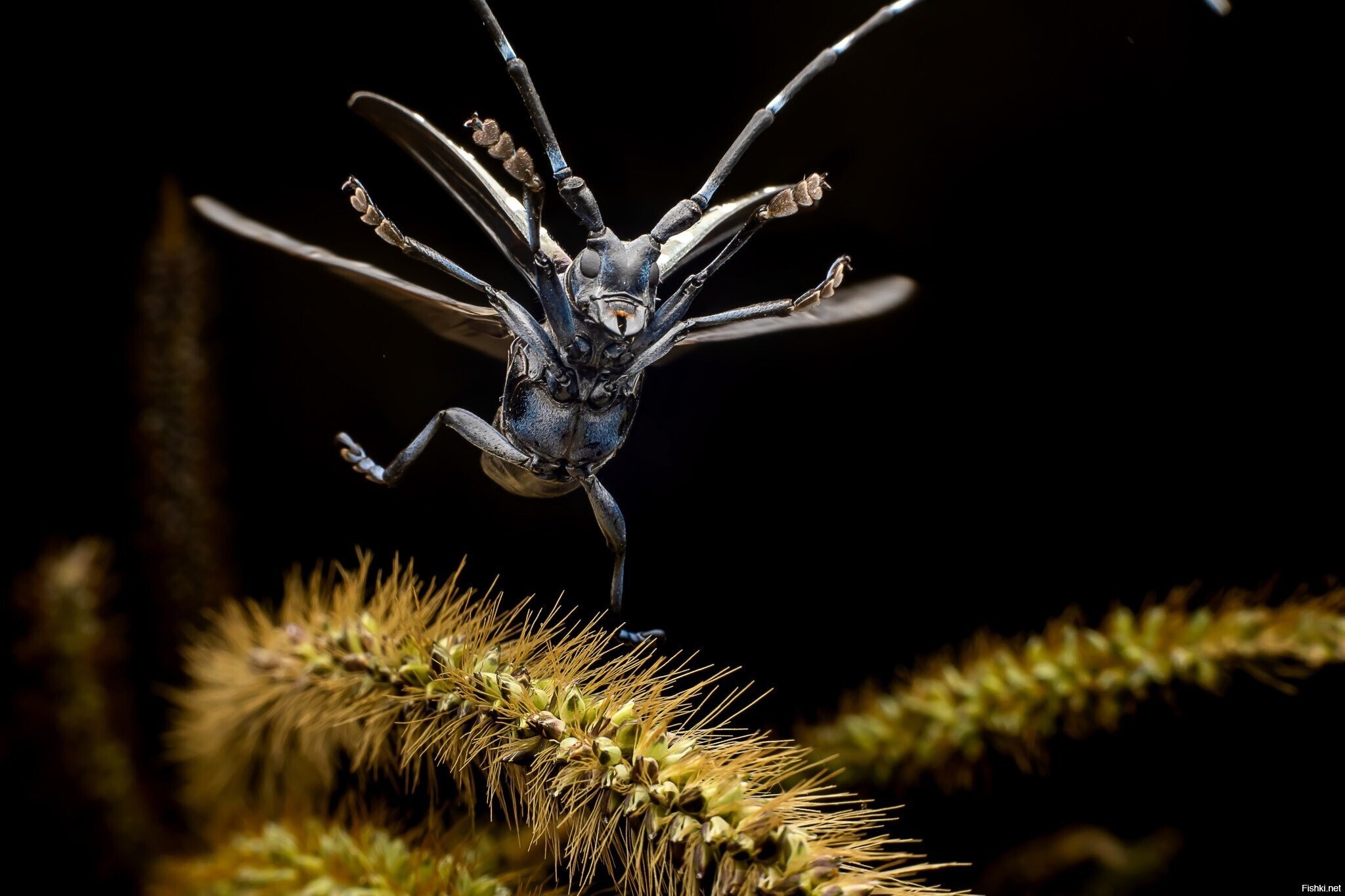 А вы кто из них вечером в пятницу