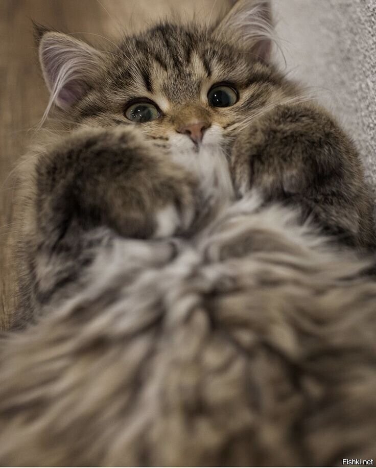 Доброе утро