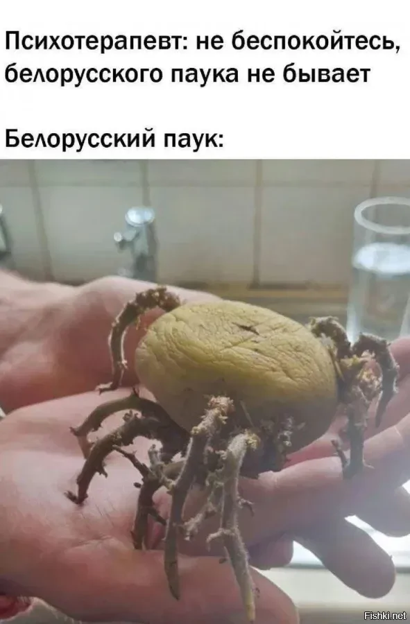 Солянка