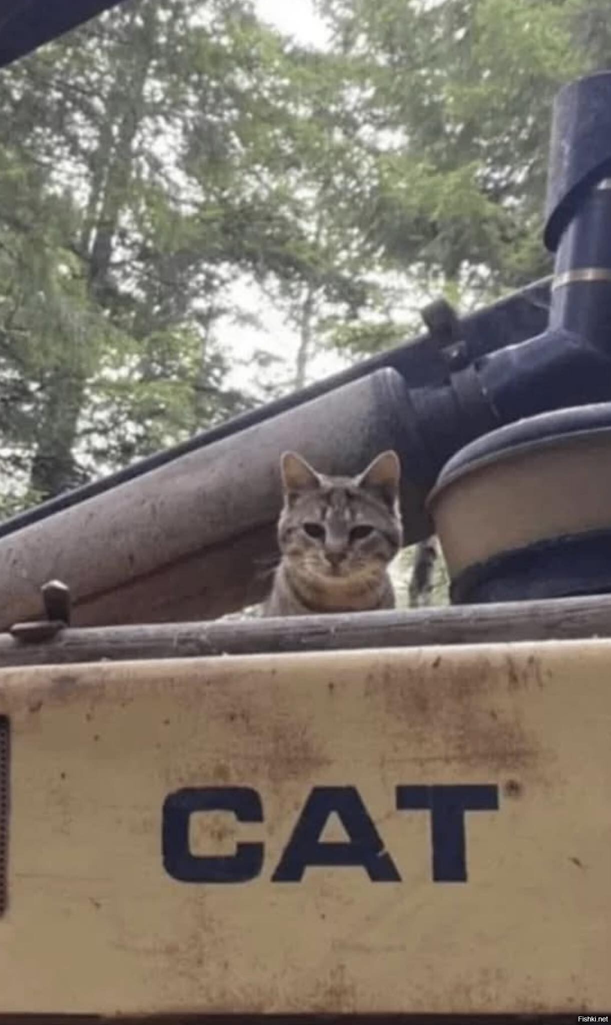 Катерпиллер)