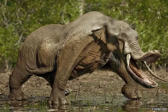 Слонопотам