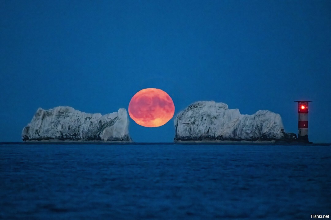 © TOMLINSON Rick Nikon D850, 200-500 Nikon Zoom, 5000, 5