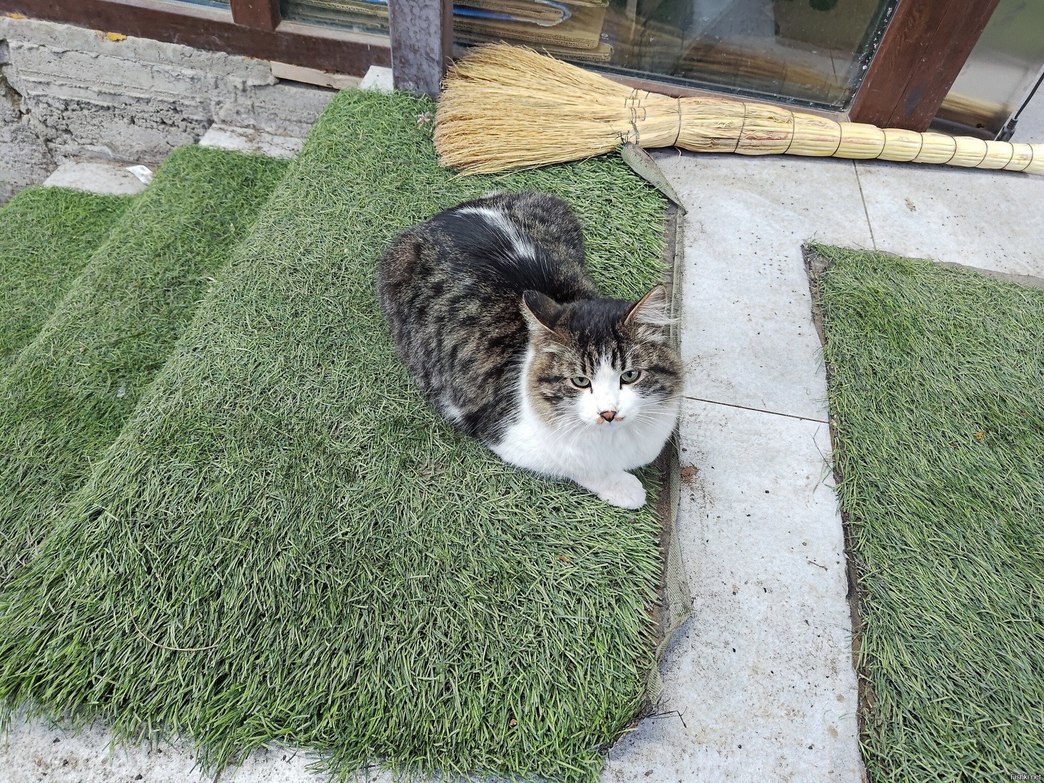 Около магазинчика рядом с домом