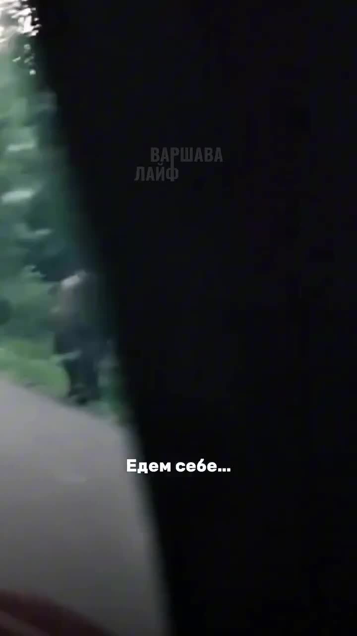 Анджей- шибчей