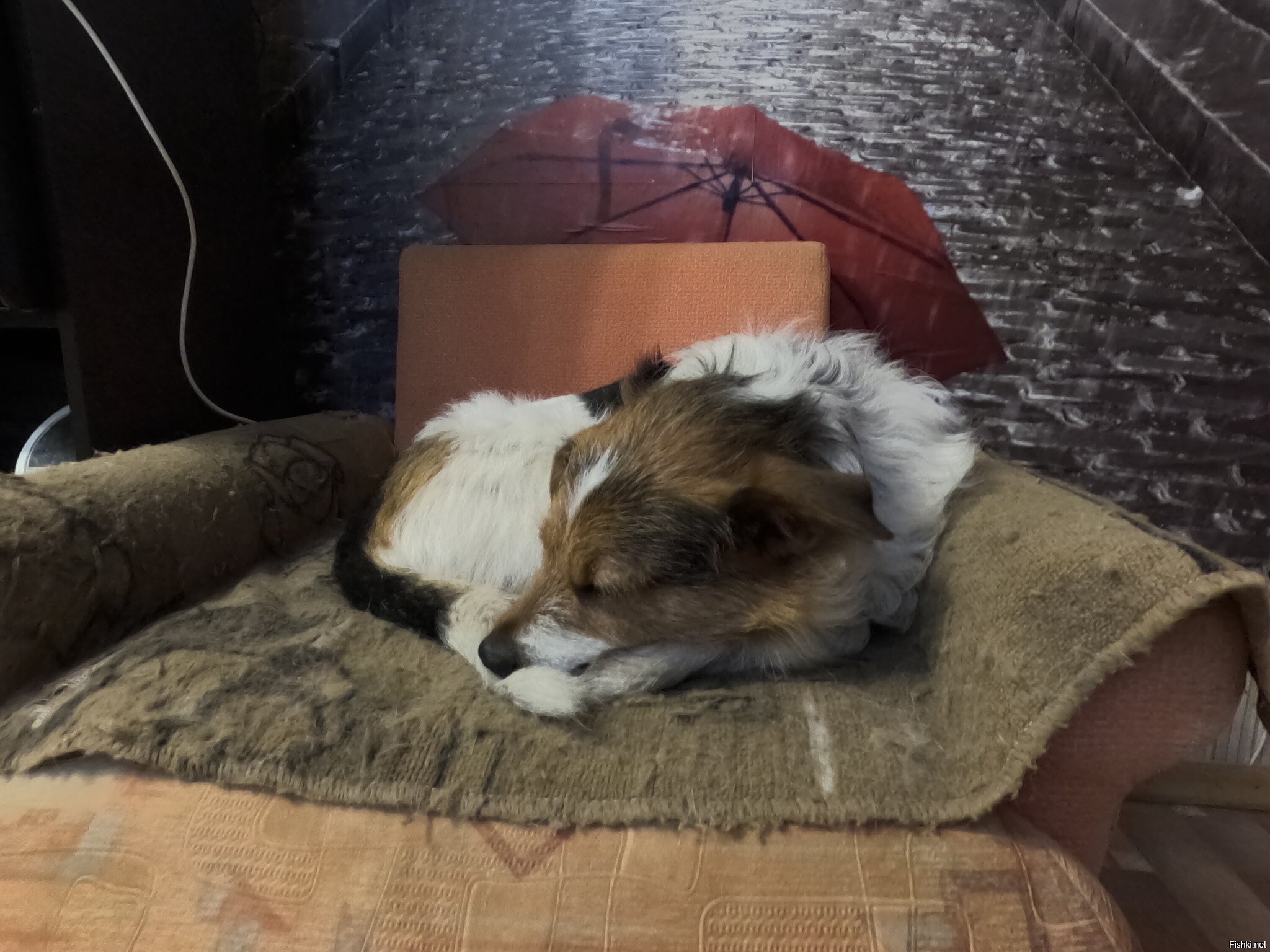 Как выйти на улицу, не привлекая внимания стража