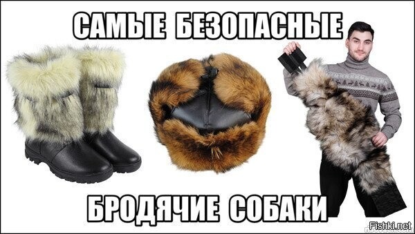 Зоошизе на заметку