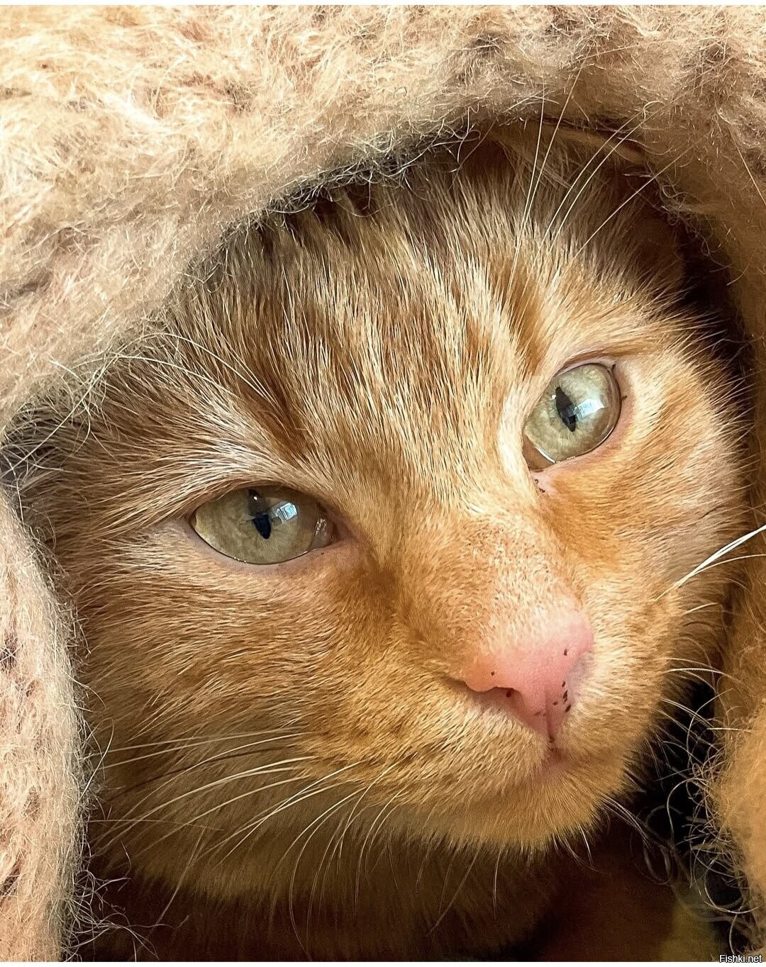 Доброе утро