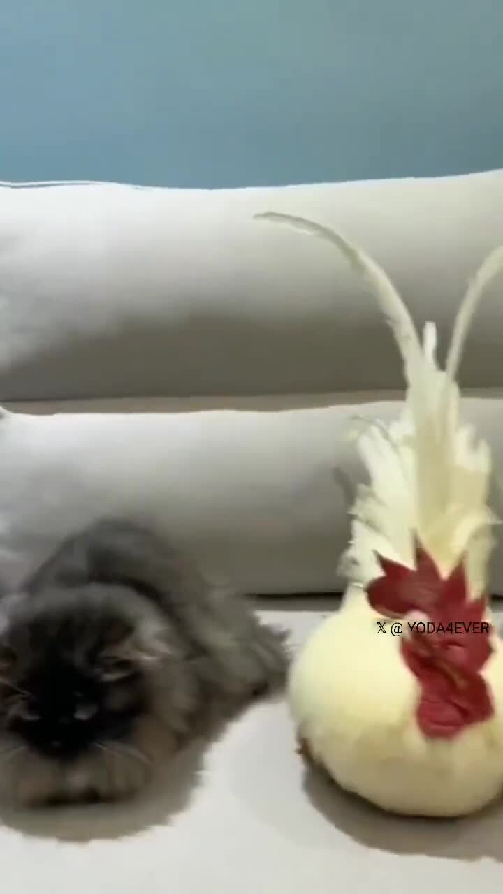 Все на месте