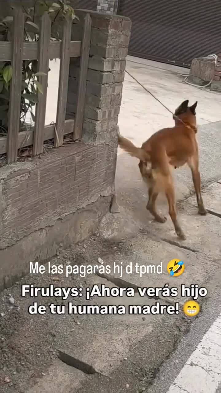 Ты шутки со мной шутить вздумал