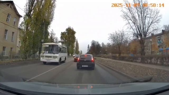 ДТП в Курске "Медвежья услуга в деле"