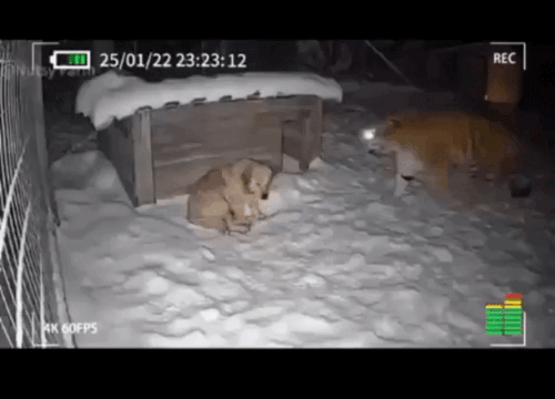 Просто гифки, всякие и&nbsp;разные