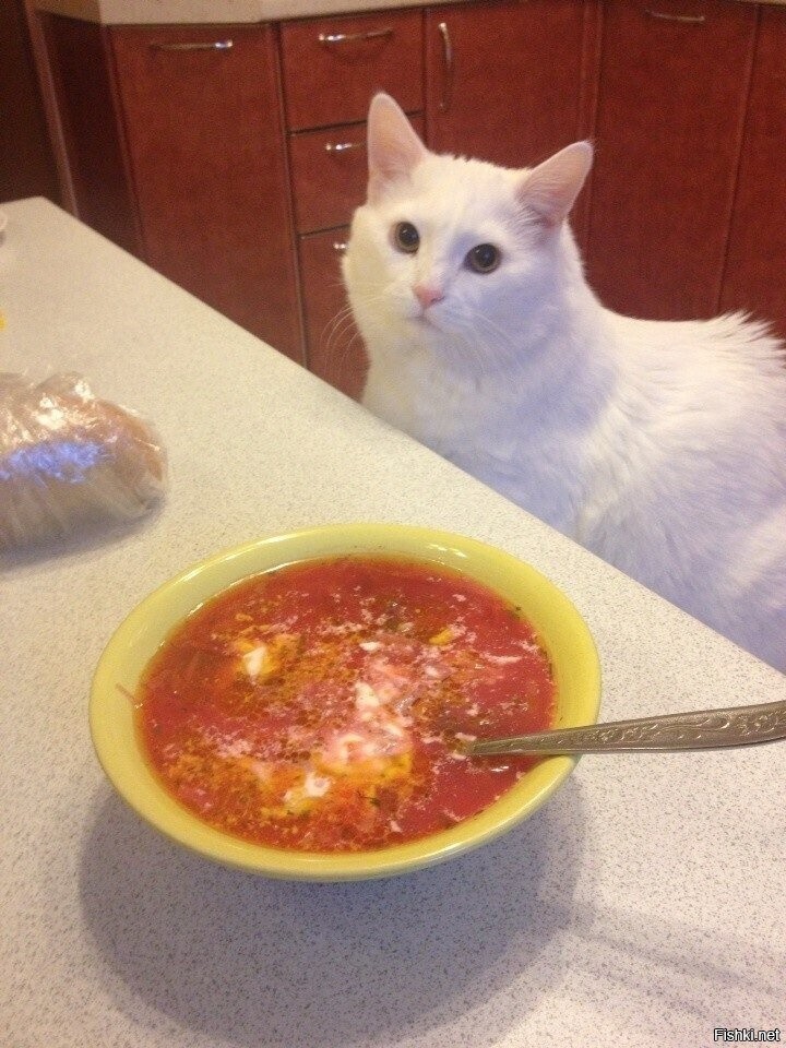 Доброе утро