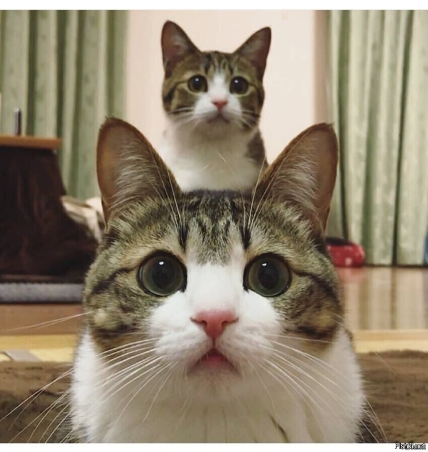 - Штурман, приборы