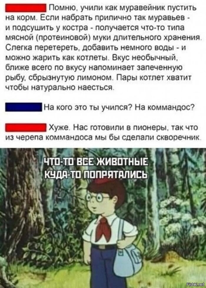 Солянка