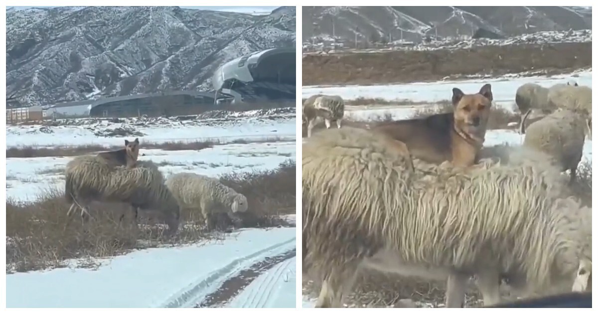 Минимум усилий — максимум контроля