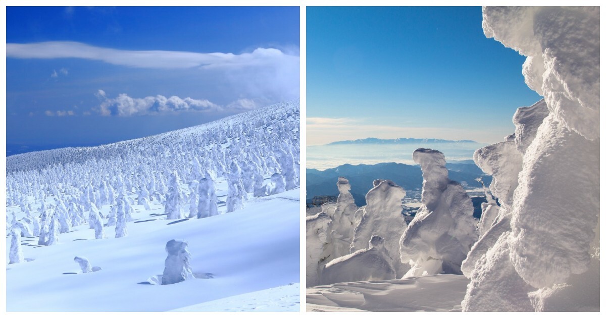 Джухё – ледяные призрачные стражи горы Дзао