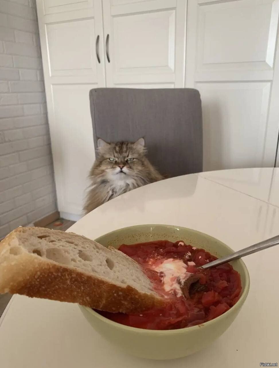 С днём борща