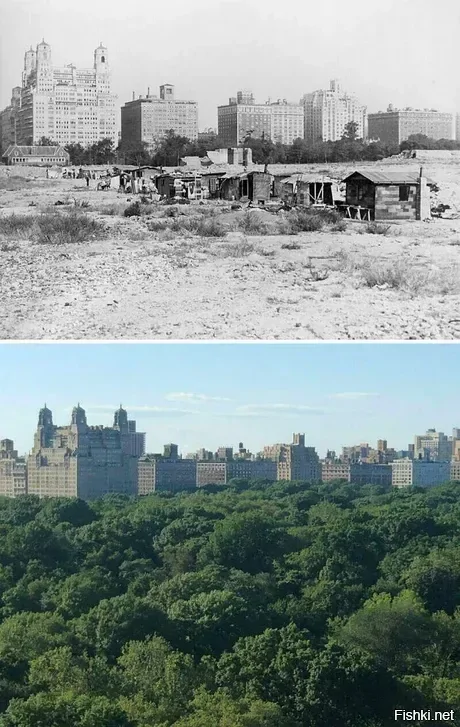 Центральный парк в Нью-Йорке 