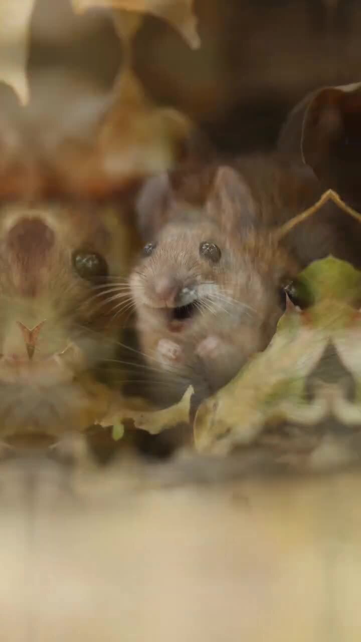 Классные фото получились