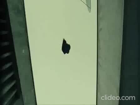 13 район - мировая премьера 10 ноября 2004 года