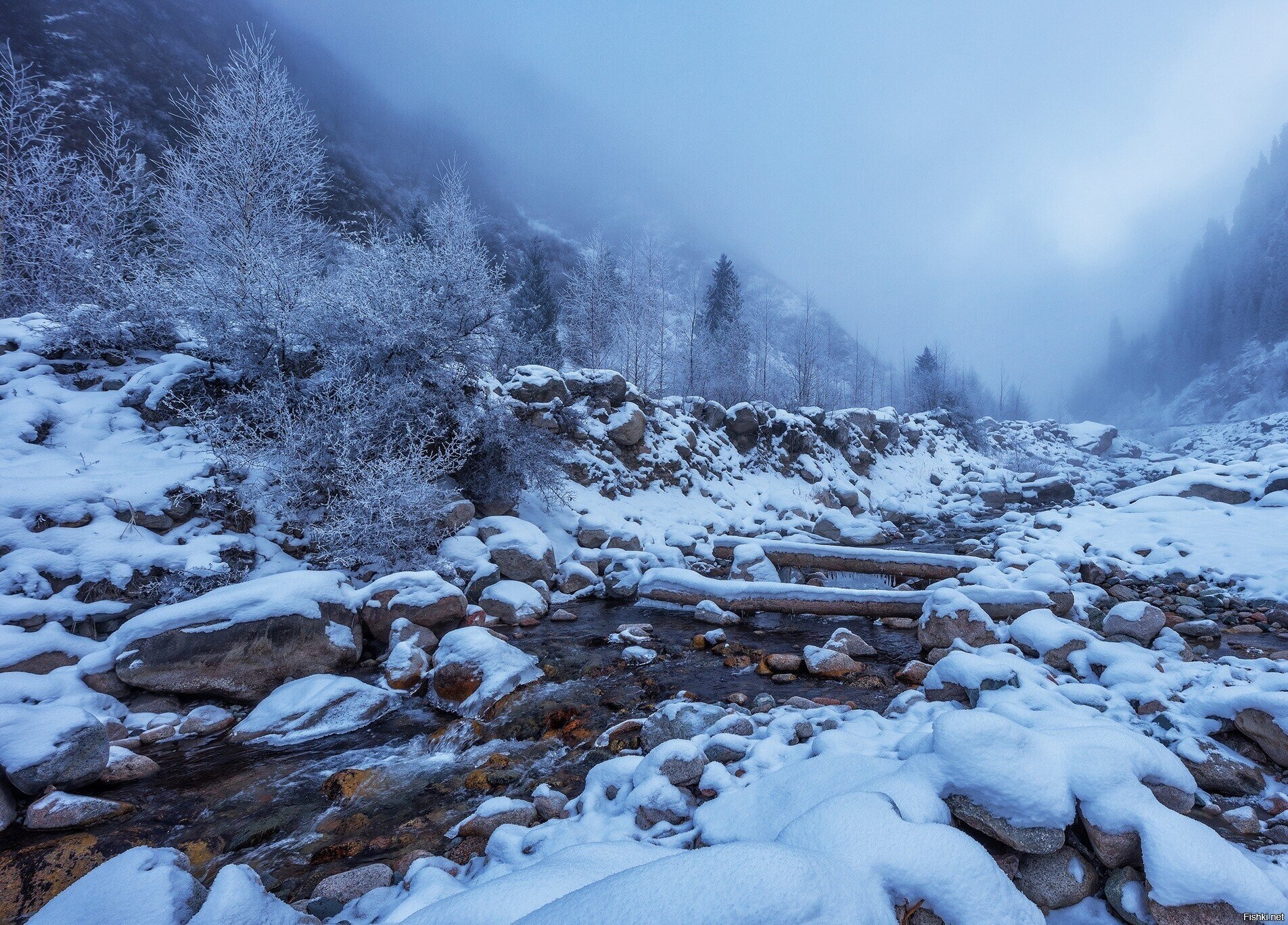 Близ Алма-Аты