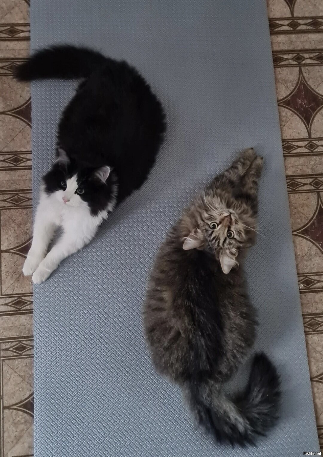 Доброе утро