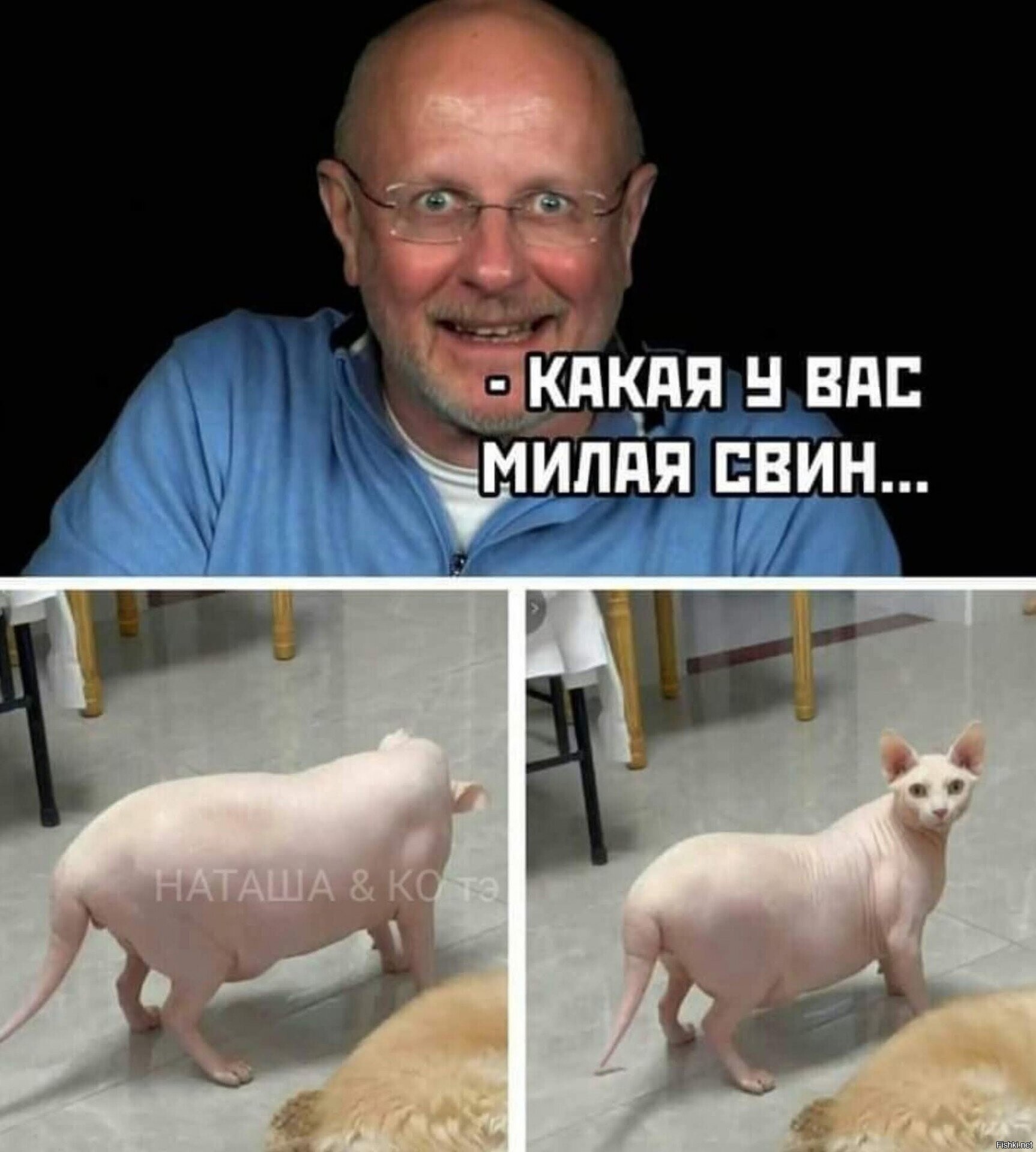 Солянка
