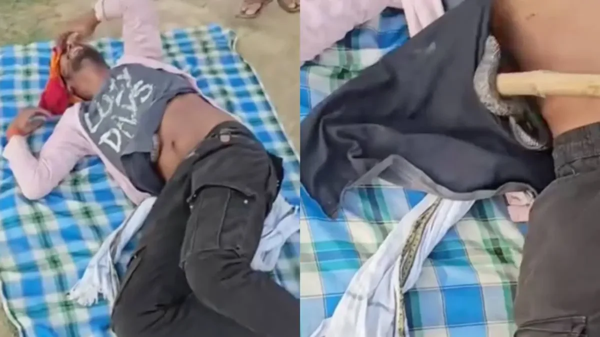 Сон на грани смерти: в Индии мужчине под рубашку залезла кобра