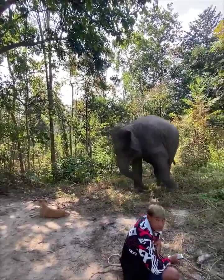 «Ой, я тебя не заметил, извини