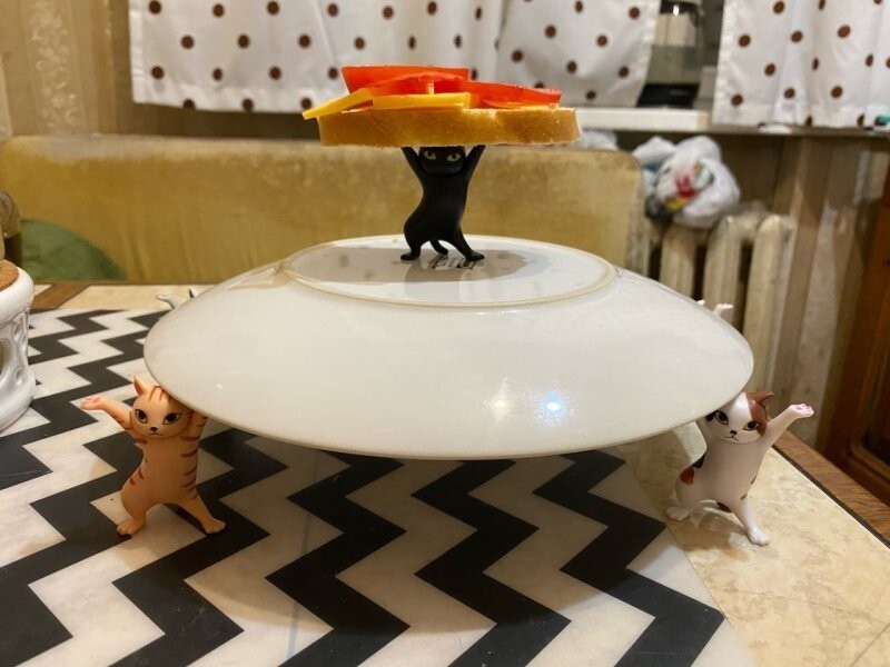 Попросил жену сделать на ужин что-нибудь необычно