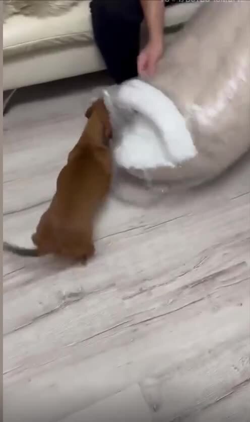 Умение радоваться подаркам, которое мы потеряли