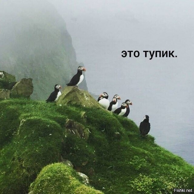 Всех со вторником