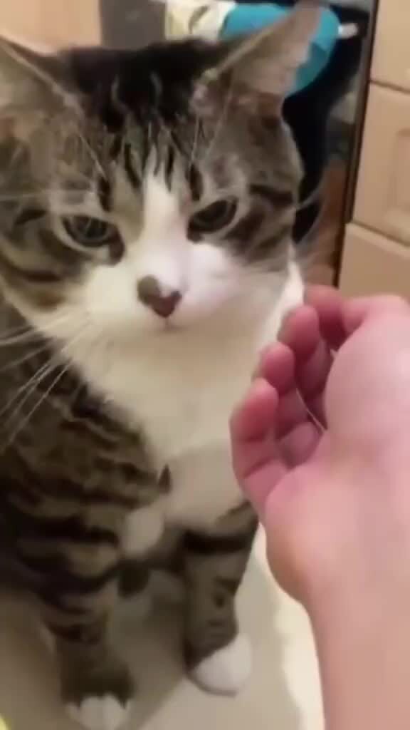 Ну можно кусь)