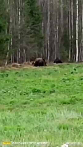 Главное - уверенность)