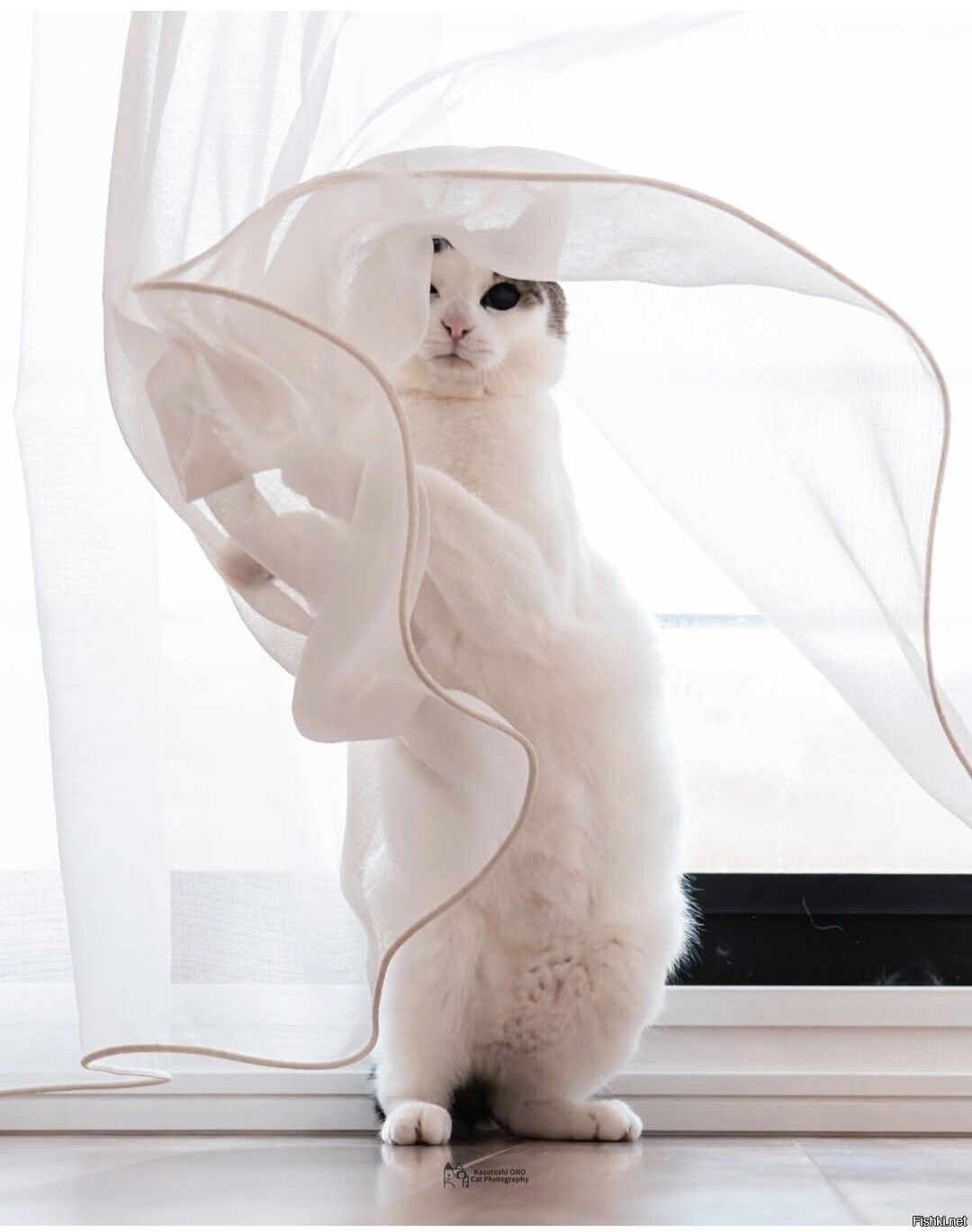 Доброе утро