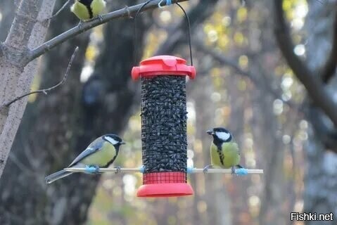 С добрым утром