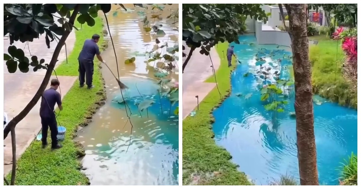 Вода цвета мечты: как пруды на курортах становятся идеальными