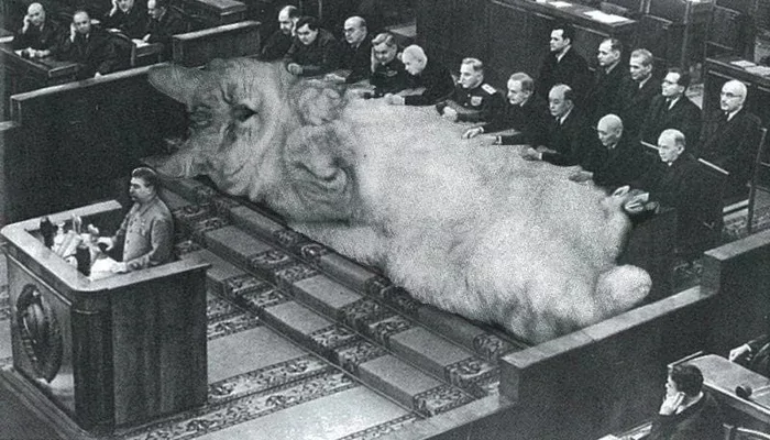 Что они опять там чешут?!⁠⁠