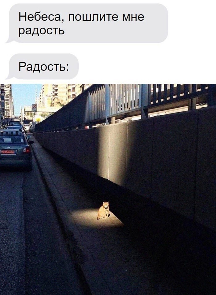 Радость