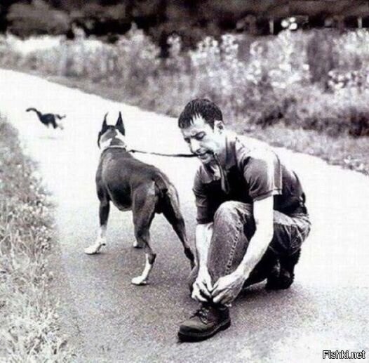 Быстрое удаление зубов