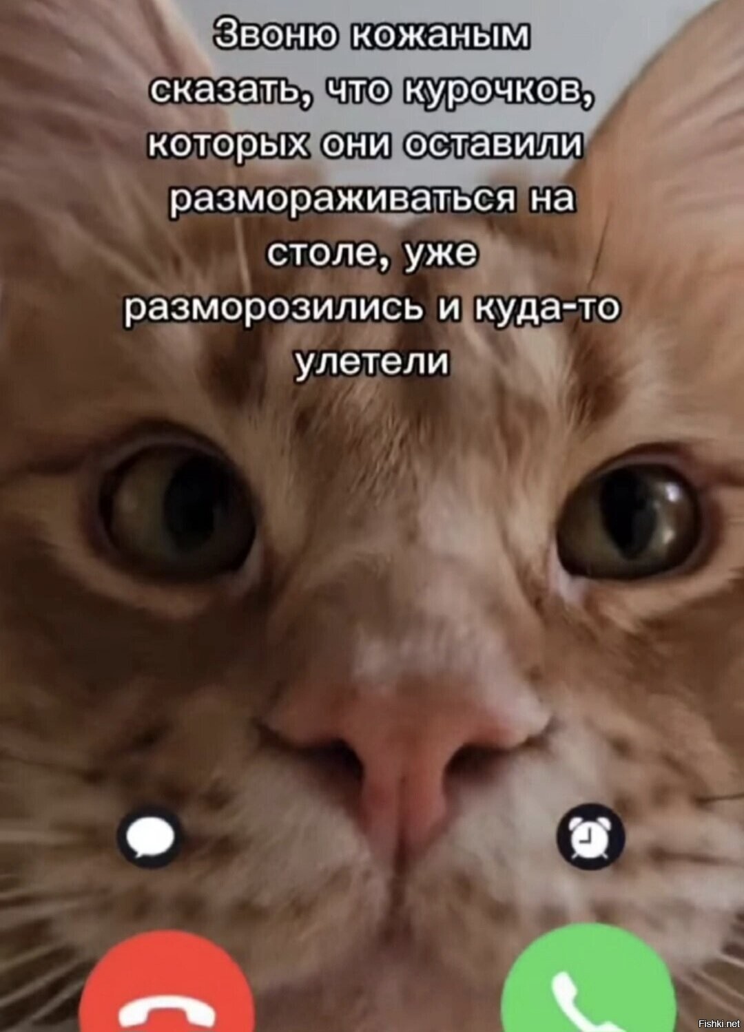 Доброе утро