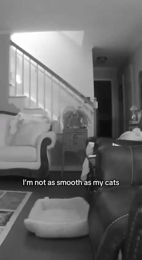 Не быть тебе котенькой