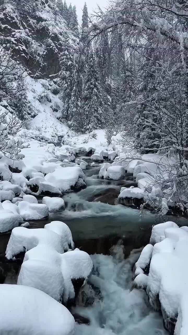 в ущелье Алмарасан близ Алма-Аты зима в полном разгаре