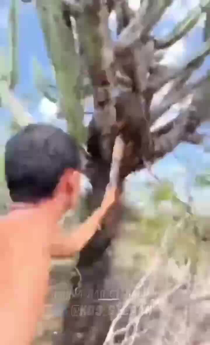 "Я гангстер