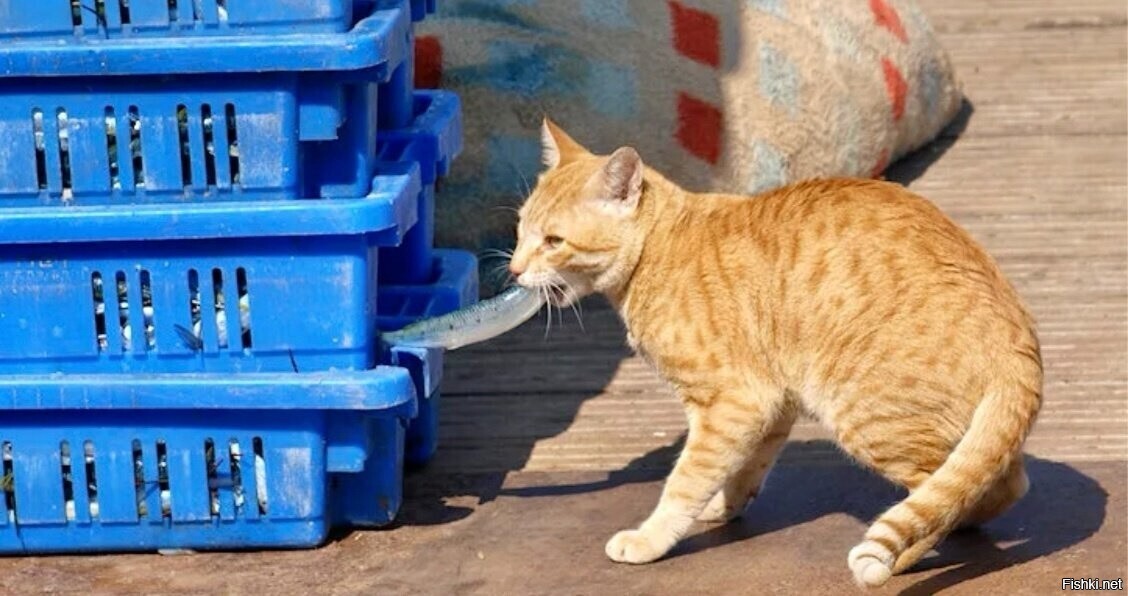 Всем добрейшего